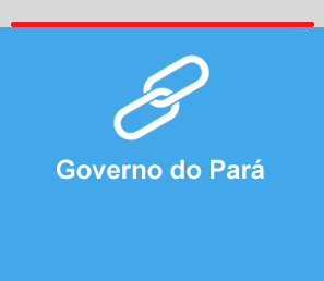 Governo do Pará
