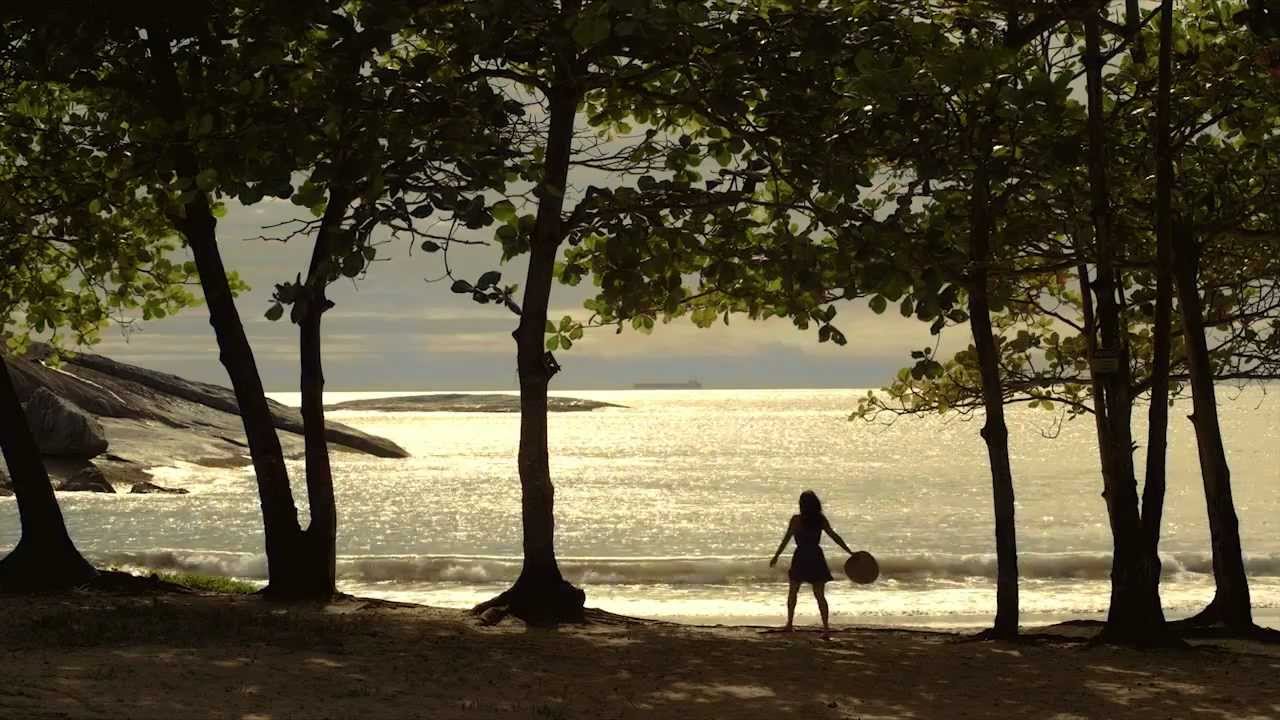 Embedded thumbnail for Vídeo de exemplo